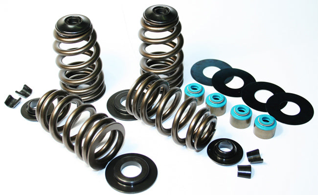 Feuling Econo Valve Spring kits